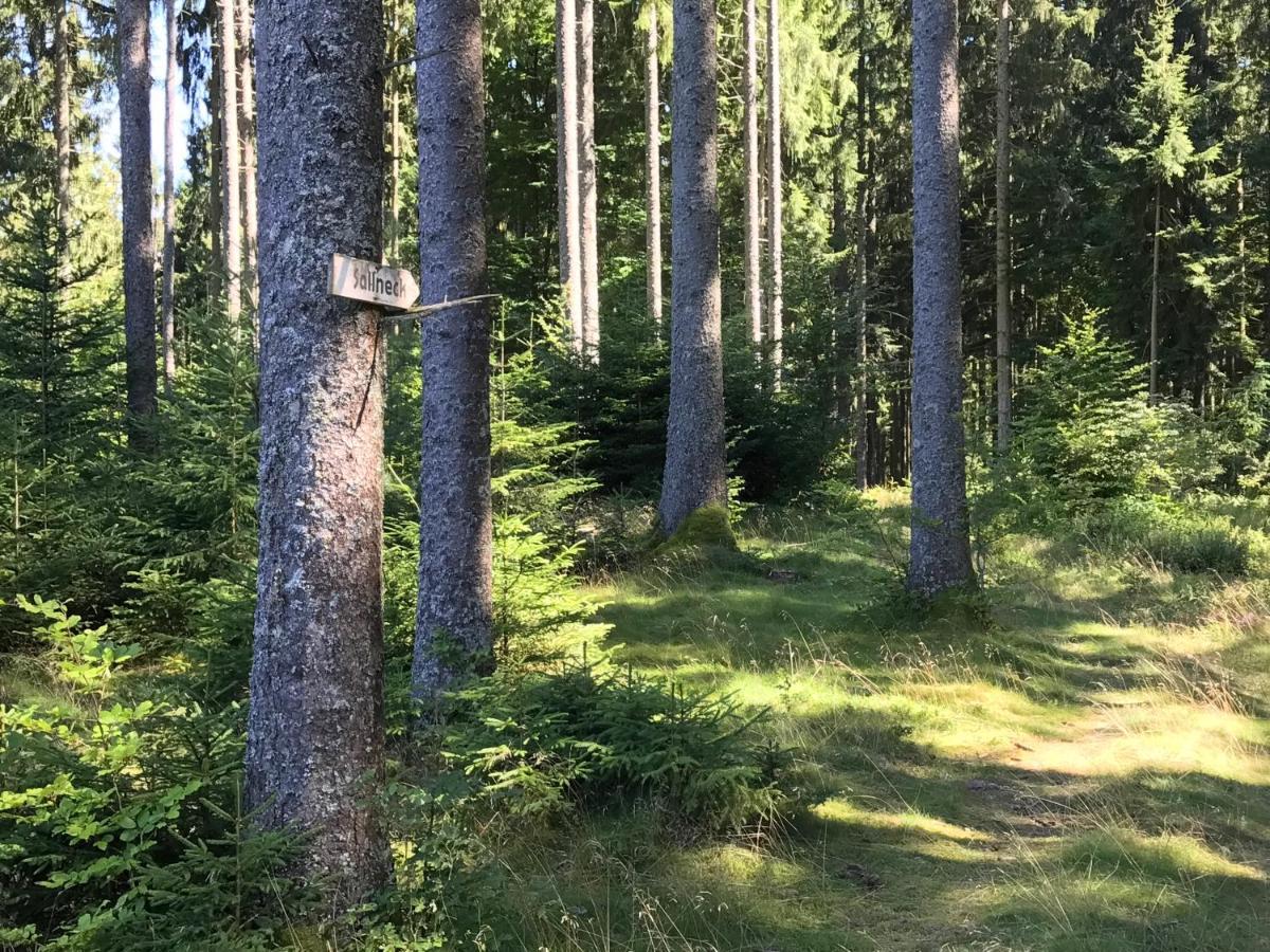 Ferien-Apartment Im Genusshotel Hirschen Kleines Wiesental Zewnętrze zdjęcie