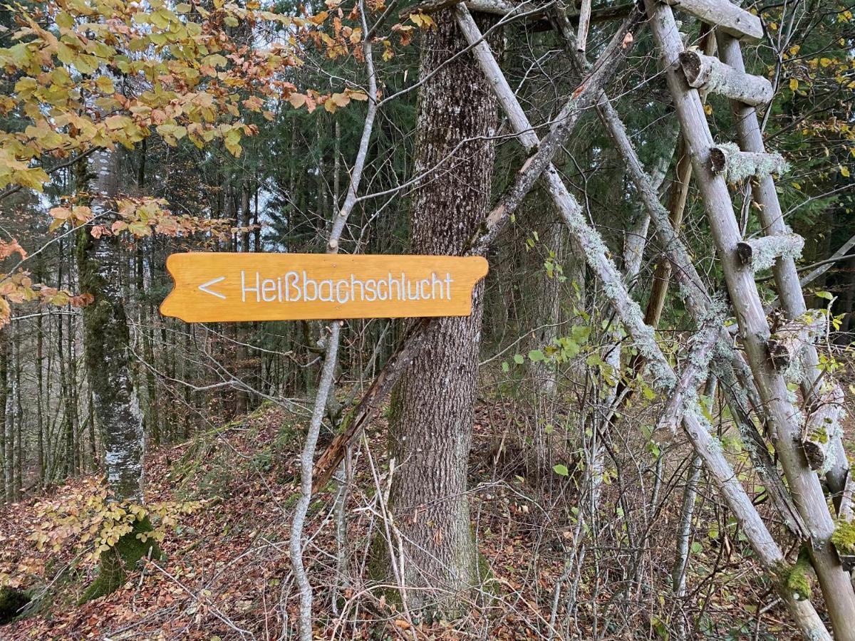 Ferien-Apartment Im Genusshotel Hirschen Kleines Wiesental Zewnętrze zdjęcie