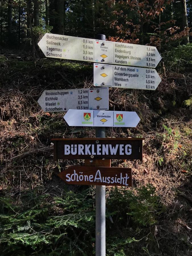 Ferien-Apartment Im Genusshotel Hirschen Kleines Wiesental Zewnętrze zdjęcie