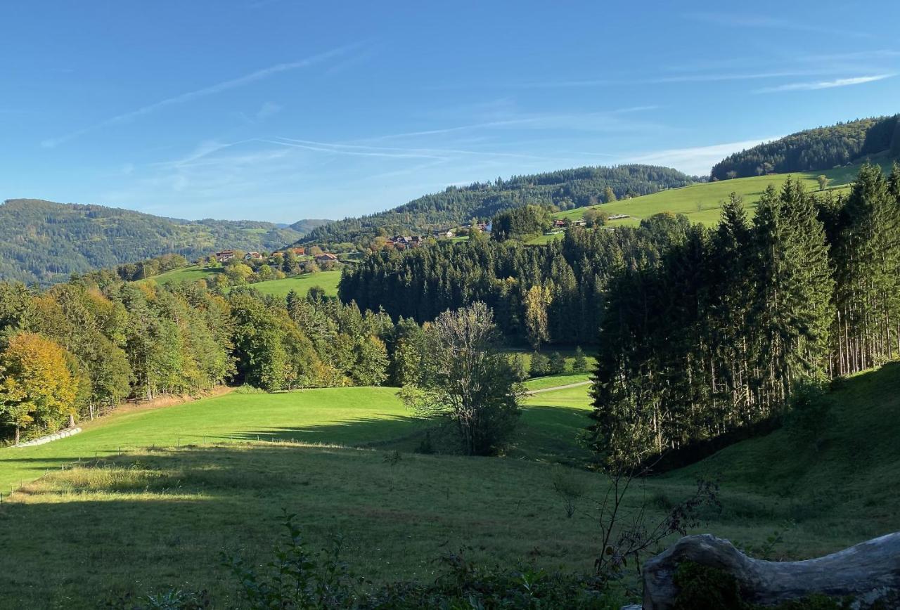 Ferien-Apartment Im Genusshotel Hirschen Kleines Wiesental Zewnętrze zdjęcie